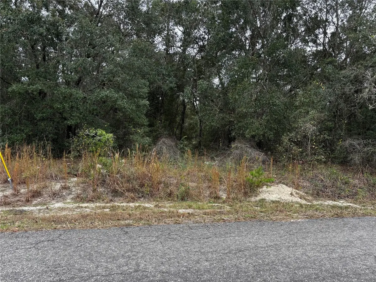 SE 115th Place Road, Ocklawaha, FL 32179 - Image #1