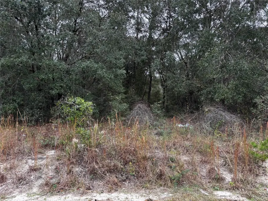 SE 115th Place Road, Ocklawaha, FL 32179 - Image #2