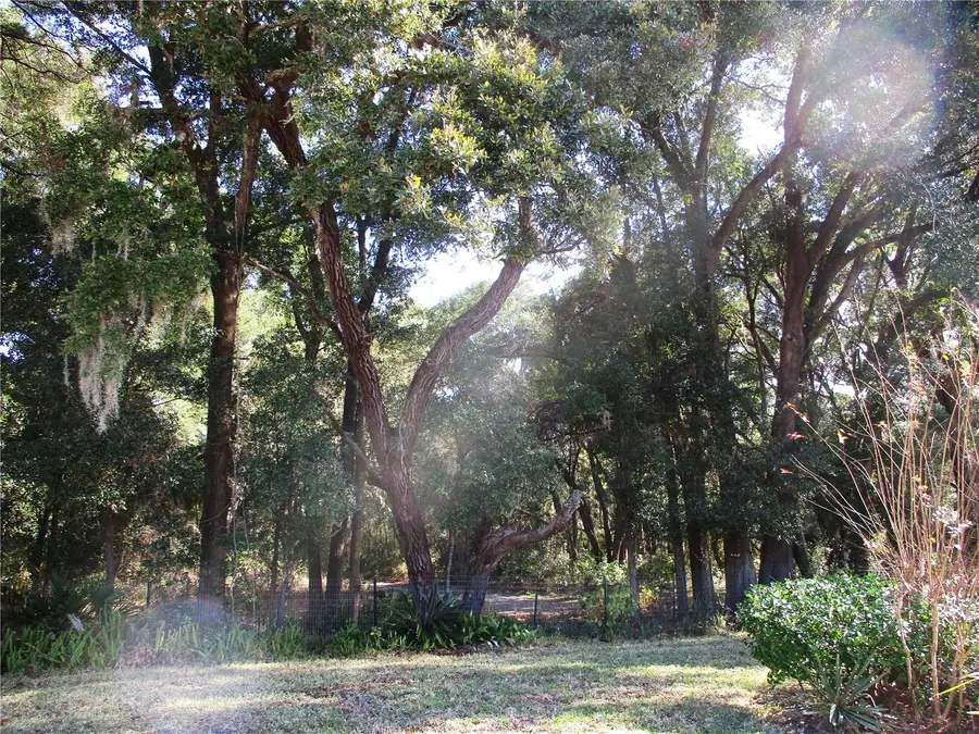 14652 SW 112th Circle, Dunnellon, FL 34432 - Image #3