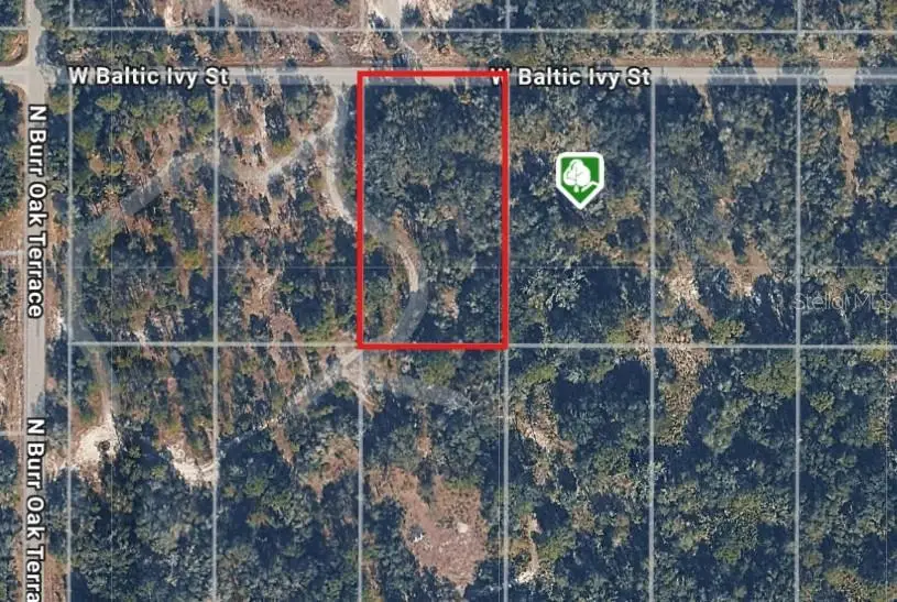 12538 W Baltic Ivy Street, Crystal River, FL 34428 - #2