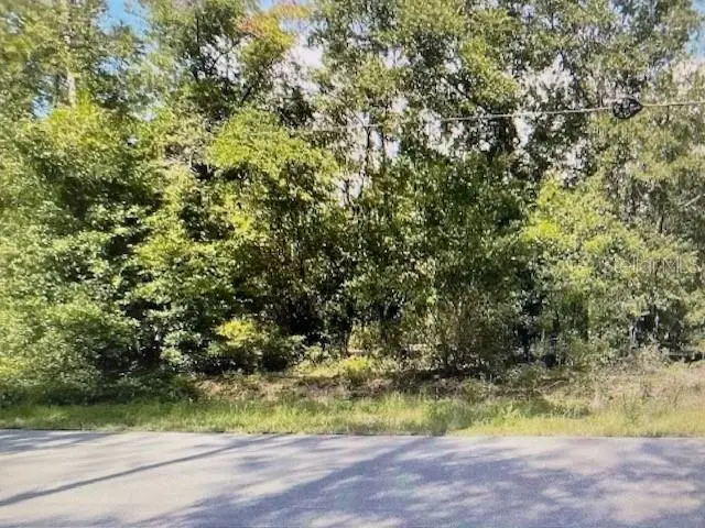 2265 SW Admiral Landing Drive, Dunnellon, FL 34431 - Image #1