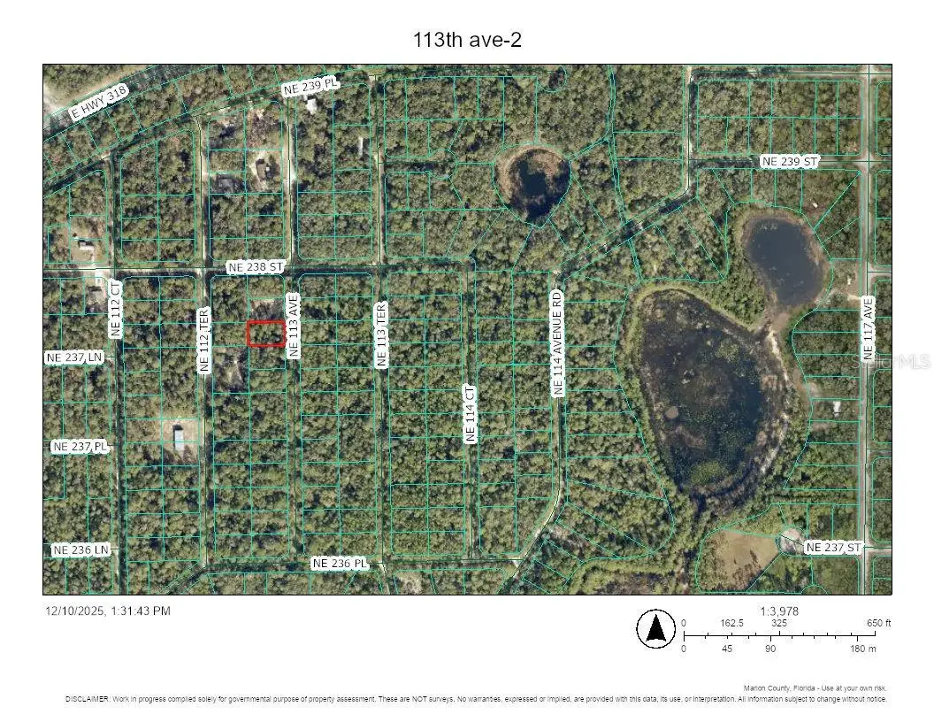 TBD NE 113th Avenue, Fort McCoy Anthony, FL 32134 - Image #1