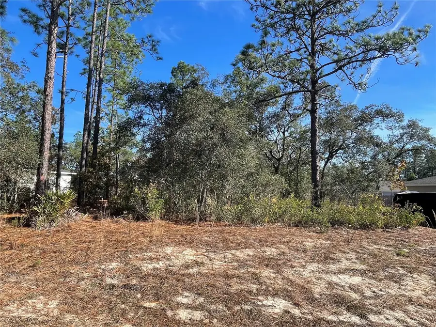 11475 N Kenney Loop, Dunnellon, FL 34433 - #2