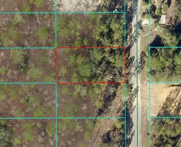 TBD NW Narcissus Road, Dunnellon, FL 34431 - Image #2