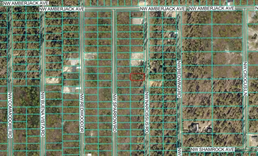 TBD NW Narcissus Road, Dunnellon, FL 34431 - Image #3