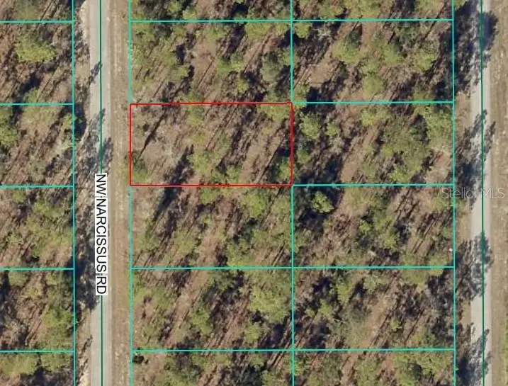 TBD1 NW Narcissus Road, Dunnellon, FL 34431 - Image #1