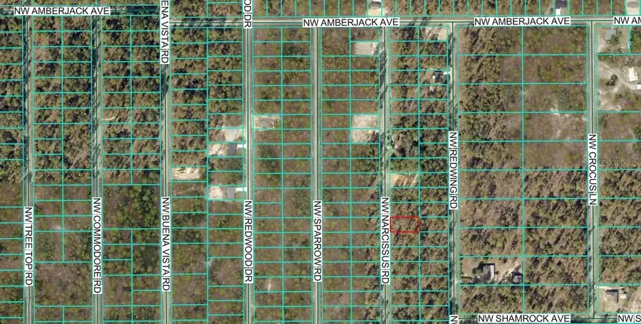 TBD1 NW Narcissus Road, Dunnellon, FL 34431 - Image #2