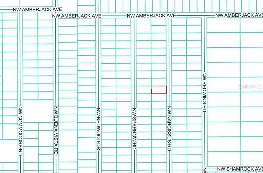 TBD1 NW Narcissus Road, Dunnellon, FL 34431 - Image #3