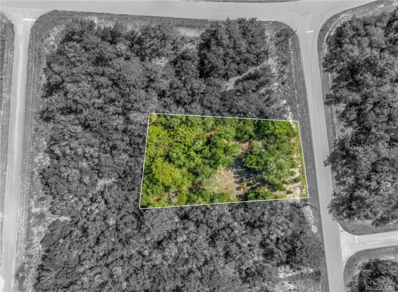 11114 N Haitian Drive, Citrus Springs, FL 34434 - Image #2