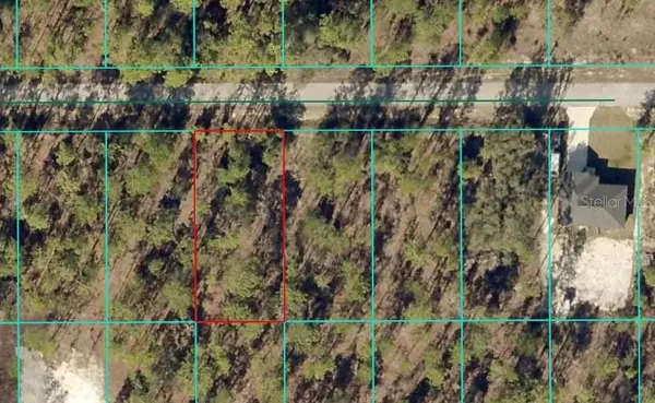 TBD NW Tamarind Lane, DUNNELLON, FL 34431
