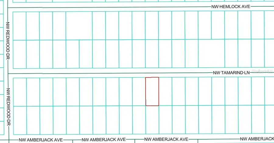 TBD NW Tamarind Lane, Dunnellon, FL 34431 - Image #3