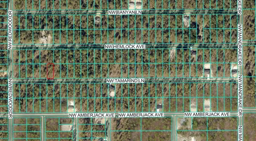 TBD1 NW Tamarind Lane, Dunnellon, FL 34431 - Image #2