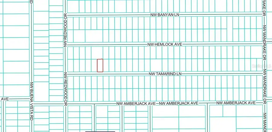 TBD1 NW Tamarind Lane, Dunnellon, FL 34431 - Image #3