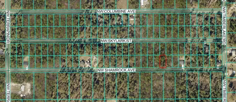 TBD NW Shamrock Avenue, Dunnellon, FL 34431 - Image #2