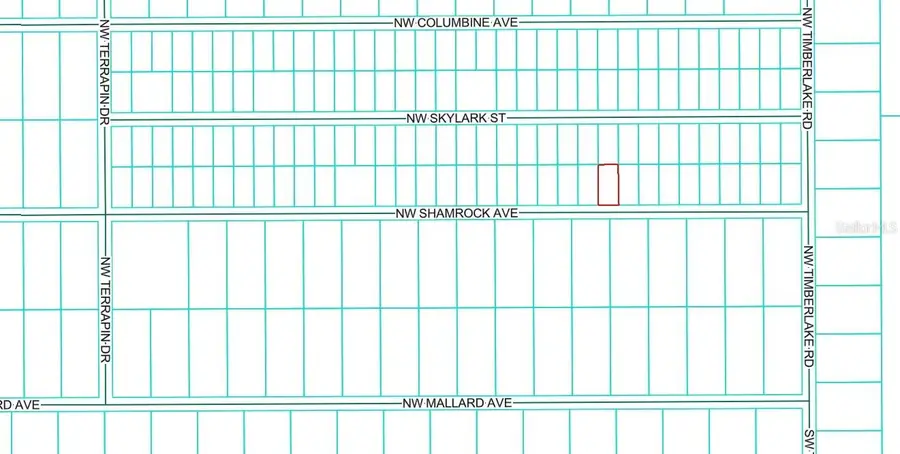 TBD NW Shamrock Avenue, Dunnellon, FL 34431 - Image #3