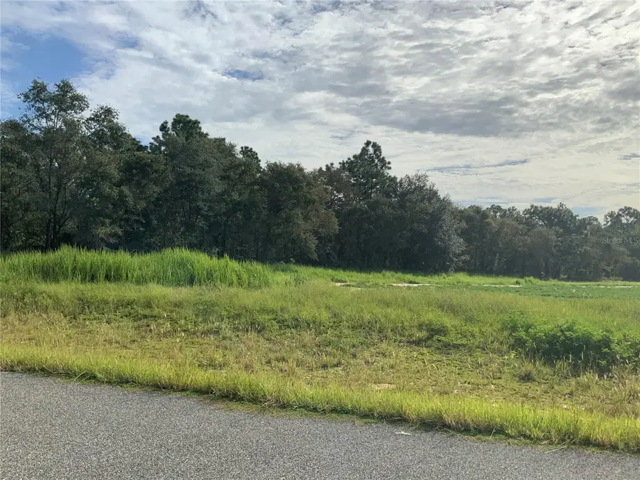 SE 39th. Lot 33 Street, Morriston, FL 32668 - Image #2
