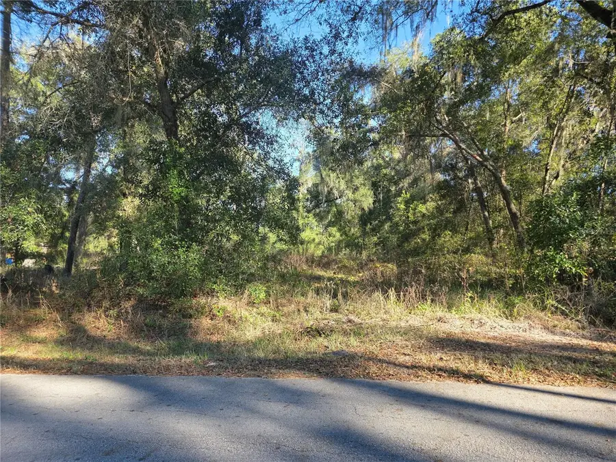 TBD NW 120th Ave, Ocala, FL 34482 - Image #2