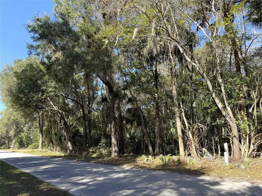 0 NE 35th Street, Williston, FL 32696 - Image #3