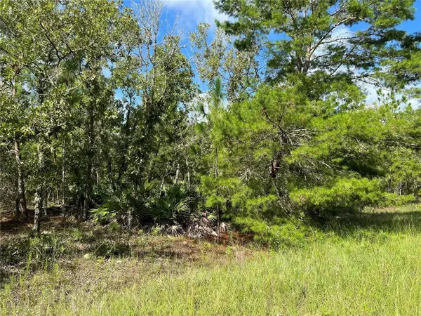 TBD SW 93rd Street, DUNNELLON, FL 34432