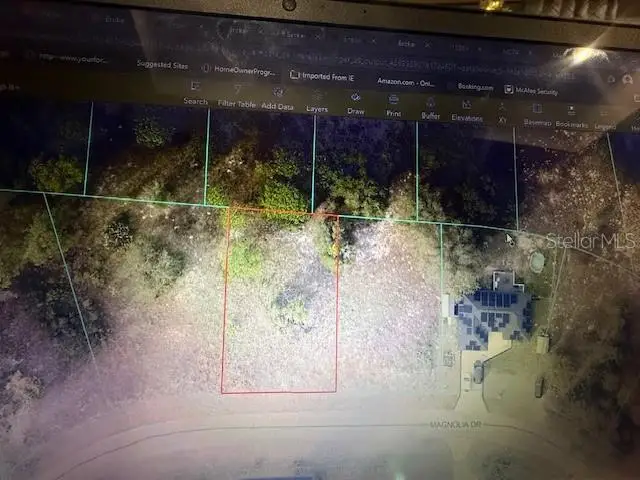 Magnolia Drive, Ocklawaha, FL 32179 - Image #3