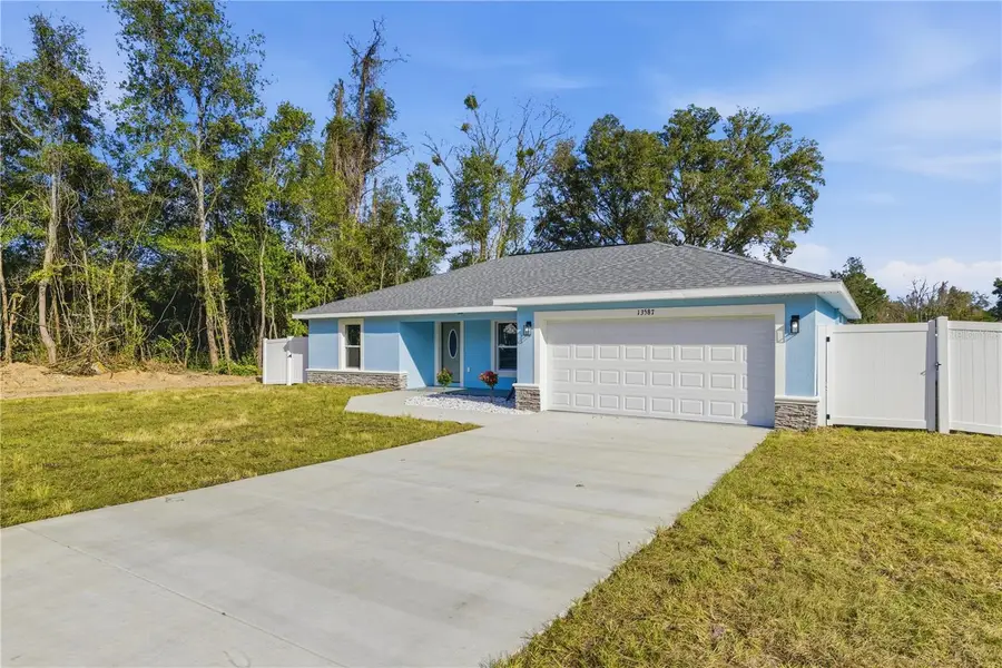 13587 SE 49th Avenue, Summerfield, FL 34491 - Image #3