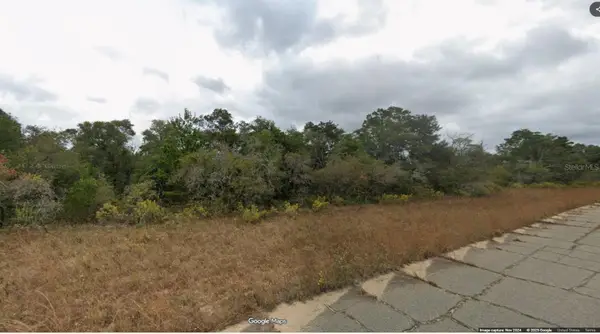 Lot 6 Unit 8 Blk 505 Greenbrier Drive, CHIPLEY, FL 32428