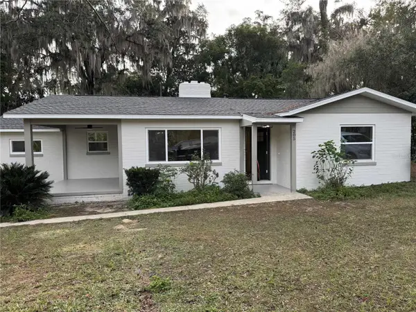 205 SE 29th Avenue, OCALA, FL 34471