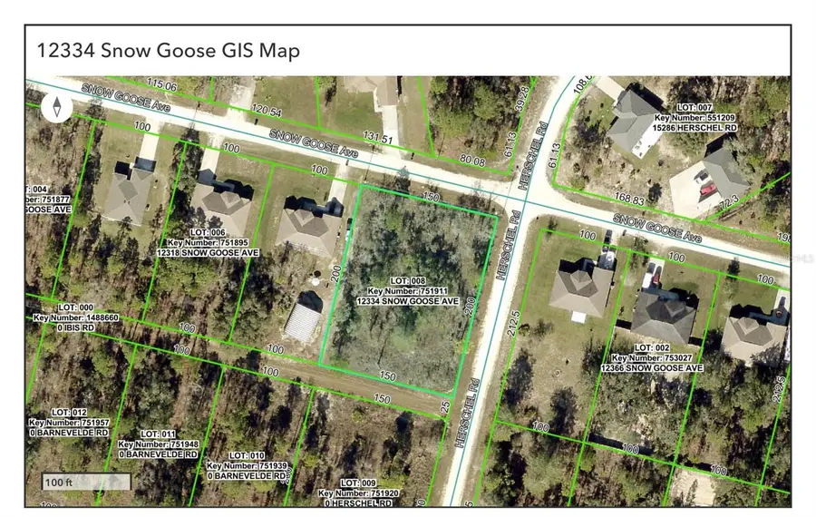 12334 Snow Goose Avenue, Brooksville, FL 34614 - Image #3