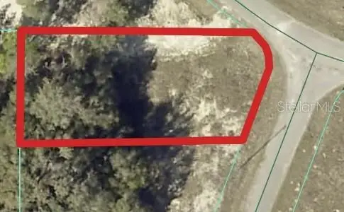 00 Maple Lane, Ocklawaha, FL 32179 - Image #1