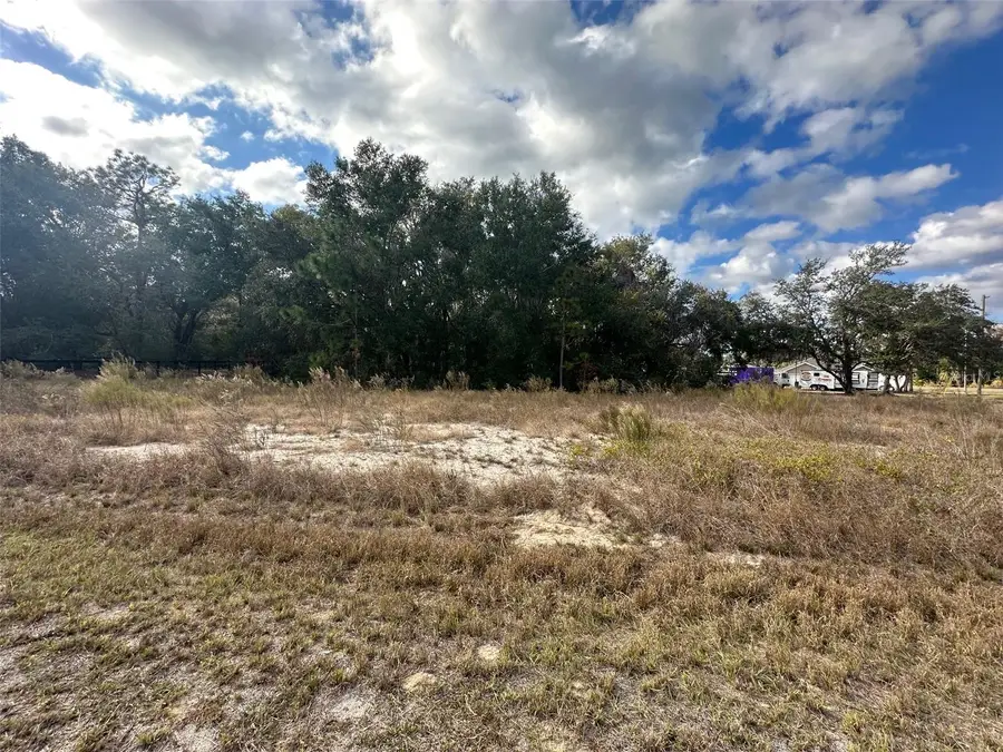 00 Maple Lane, Ocklawaha, FL 32179 - Image #3