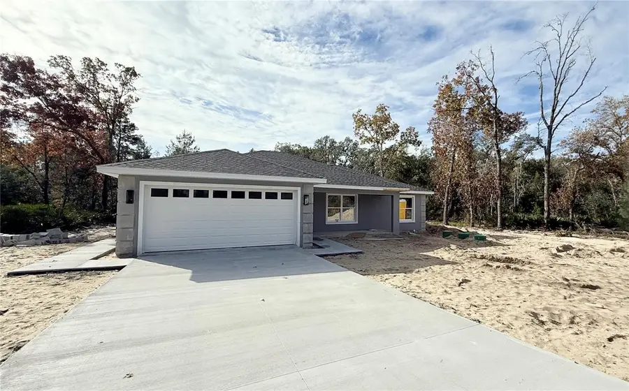 120 Guava Pass, Ocklawaha, FL 32179 - Image #2