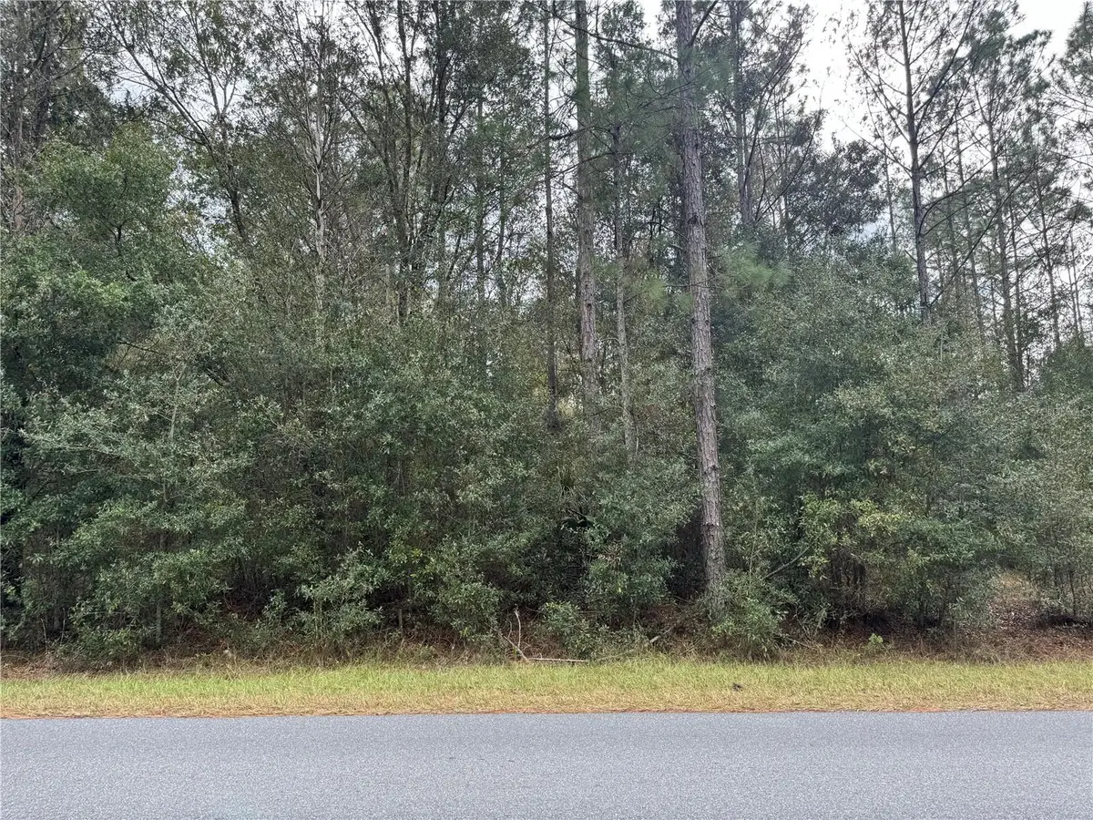 SW Beach Boulevard, Dunnellon, FL 34431 - Image #1