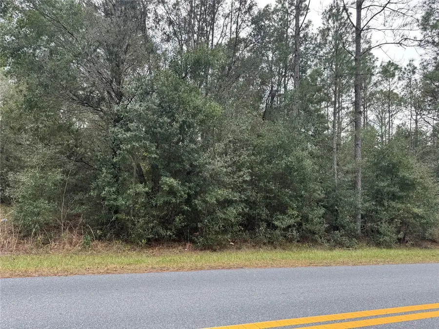 SW Beach Boulevard, Dunnellon, FL 34431 - Image #2