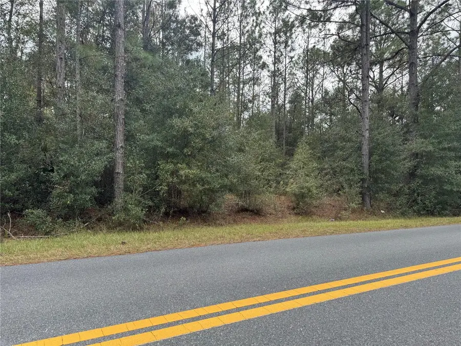 SW Beach Boulevard, Dunnellon, FL 34431 - Image #3