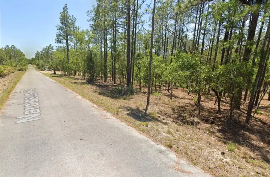 00 NW Narcissus Road, Dunnellon, FL 34431 - Image #2
