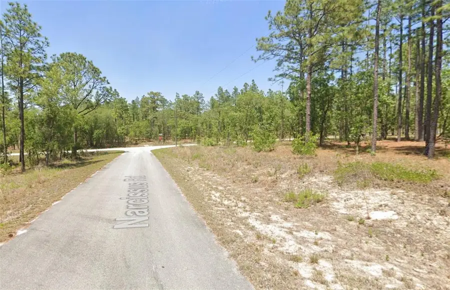 00 NW Narcissus Road, Dunnellon, FL 34431 - Image #3