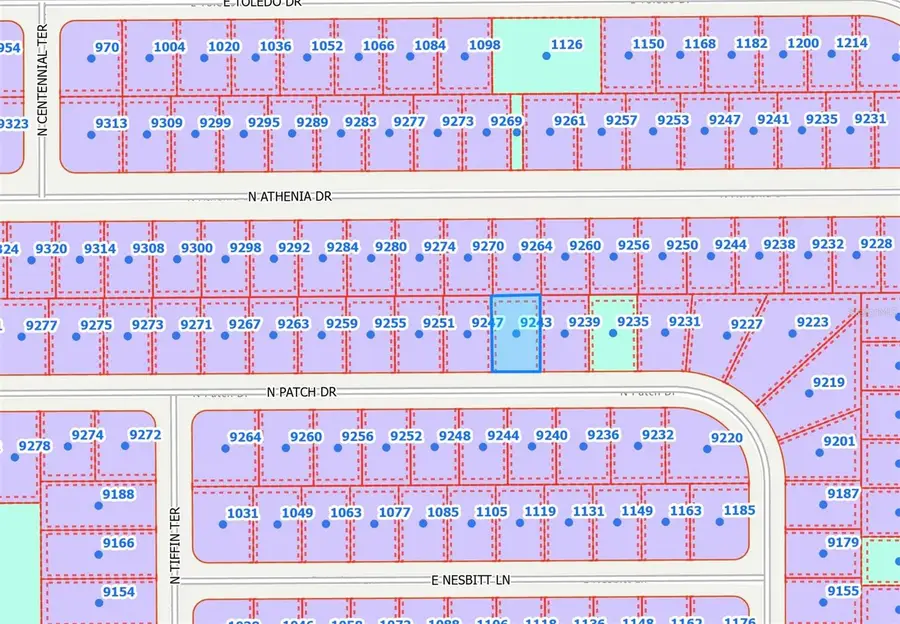 9243 N Patch Drive, Citrus Springs, FL 34434 - Image #2