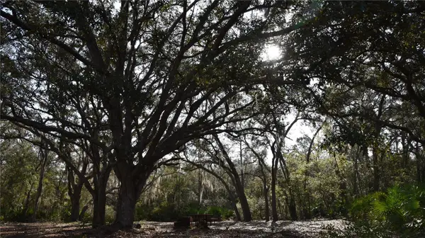 81 Clouds Ave, INTERLACHEN,, FL 32148