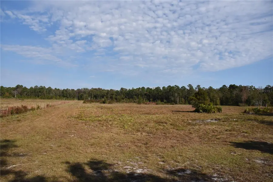 81 Clouds Ave, Interlachen, FL 32148 - Image #2