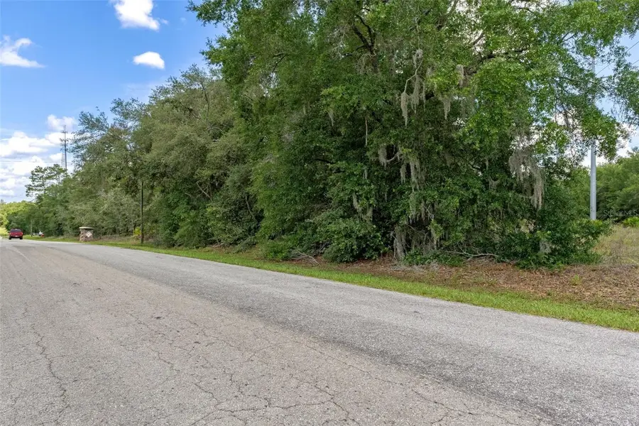 701 E Overdrive Lot 16 Circle, Hernando, FL 34442 - Image #2