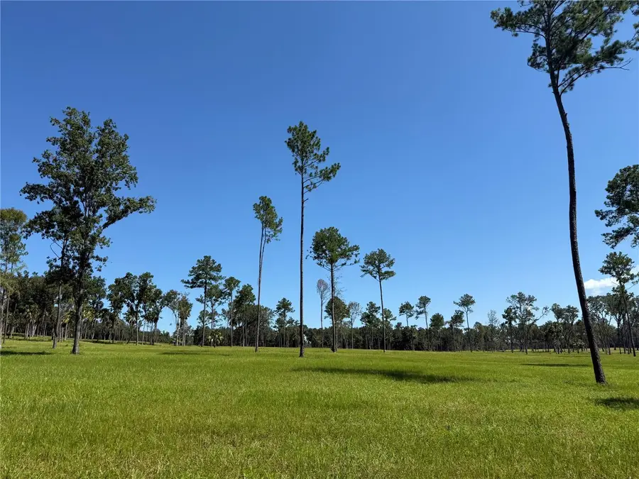 DO #6 (24ac) NW 193rd St, Micanopy, FL 32667 - Image #2