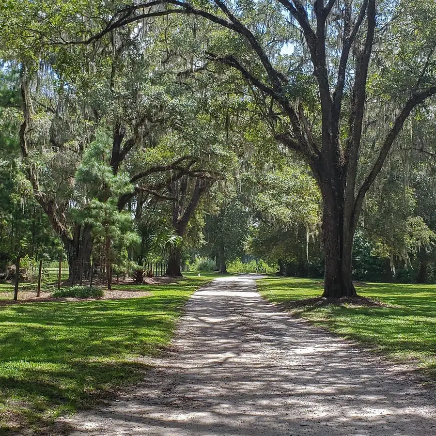 NW 115th Avenue, Reddick, FL 32686 - Image #3