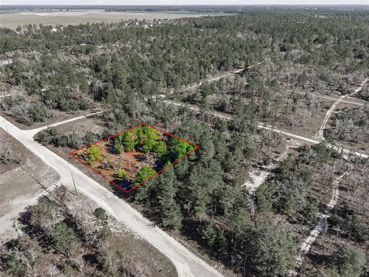 00 NE 150th Ave, Williston, FL 32696 - Image #1