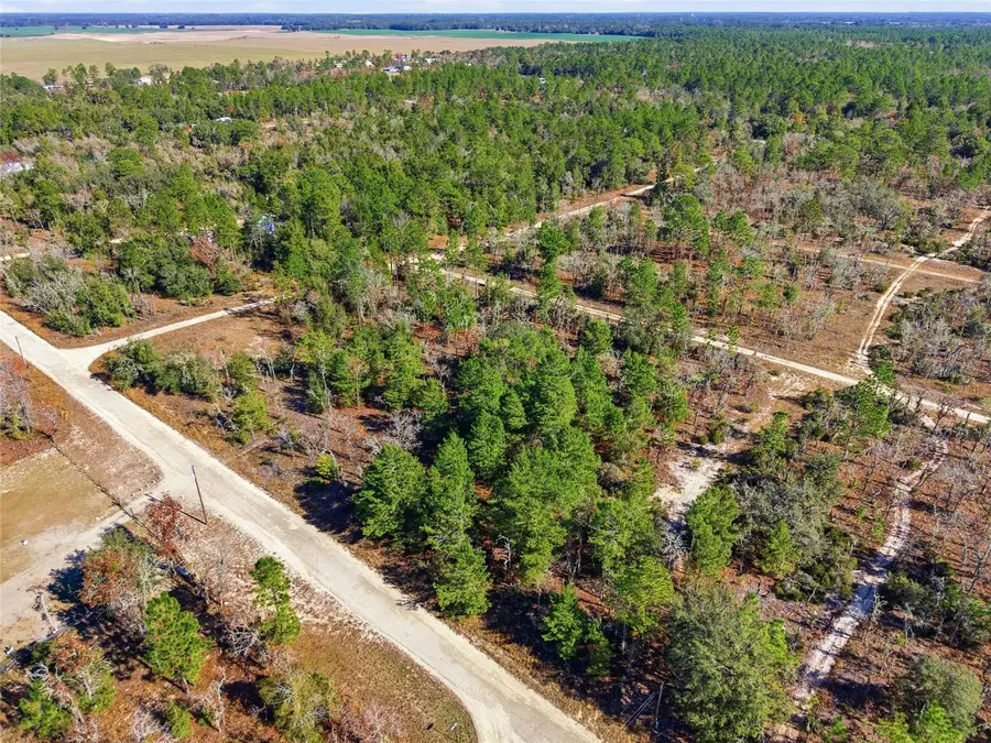 00 NE 150th Ave, Williston, FL 32696 - Image #2