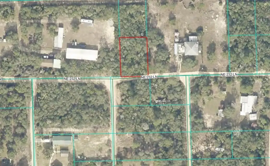 NE 232nd Lane, Fort McCoy, FL 32134 - Image #1