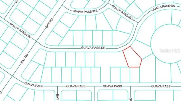 Lot 26 Guava Pass Drive, OCKLAWAHA, FL 32179