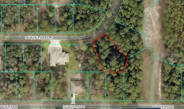 Lot 26 Guava Pass Drive, Ocklawaha, FL 32179 - Image #3