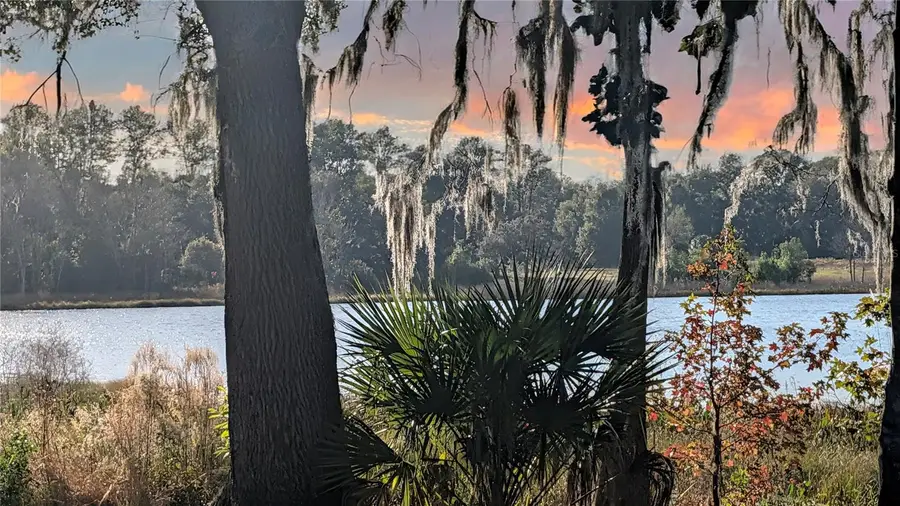 9350 SE 170th Avenue Road, Ocklawaha, FL 32179 - Image #2