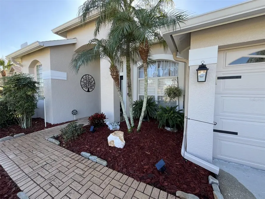 28702 Crooked Stick Court, Wesley Chapel, FL 33543 - Image #3