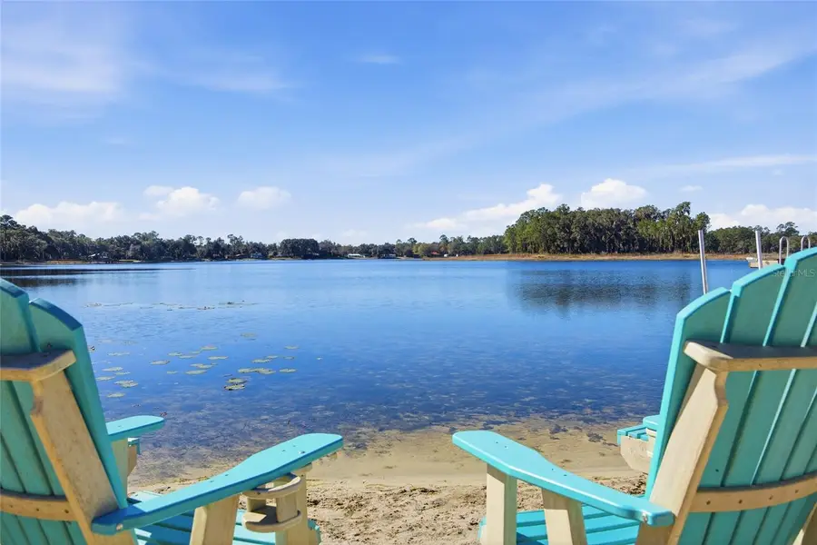 10550 NE 222nd Place Road, Fort McCoy Anthony, FL 32134 - #2